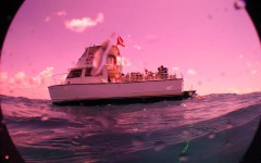 2011-Key-Largo-121