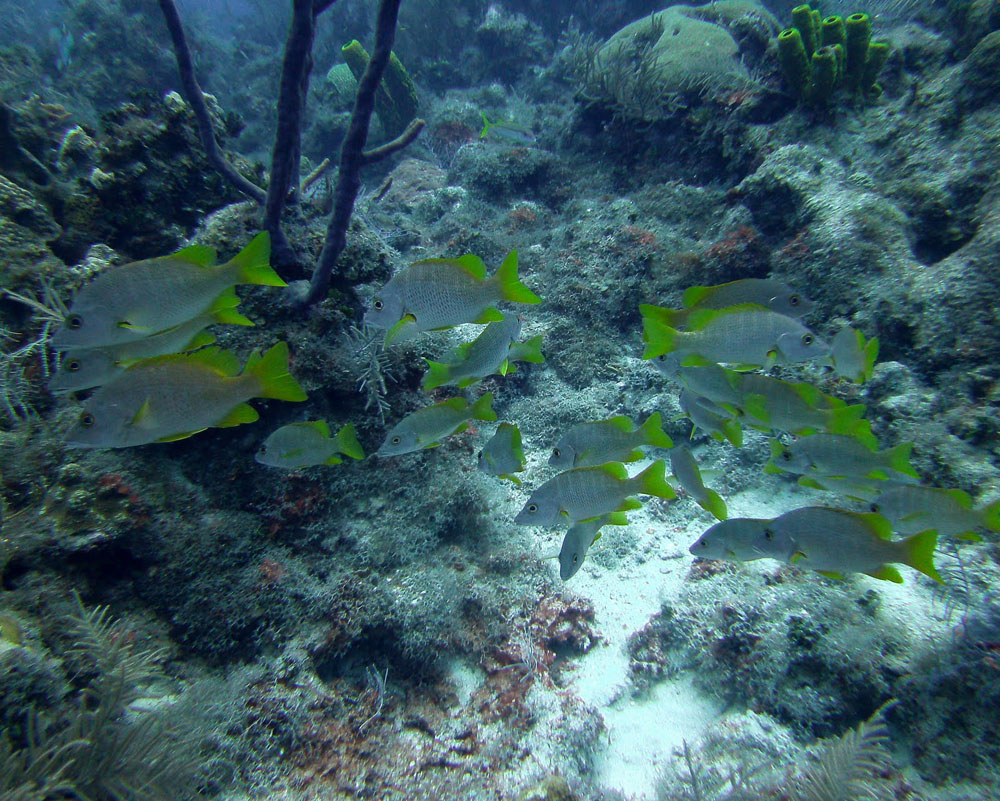 2012-Grand-Cayman-169