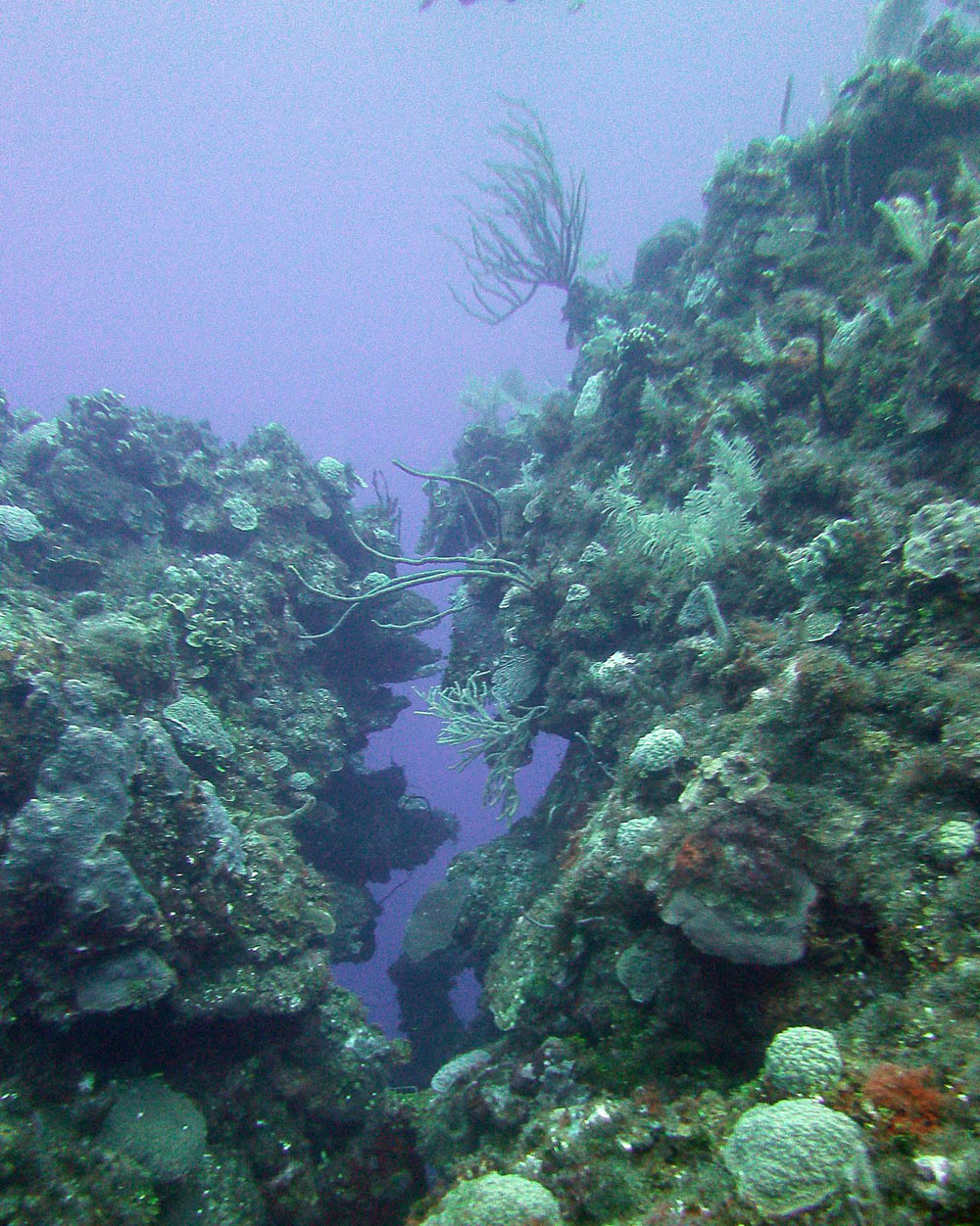 2012-Grand-Cayman-45