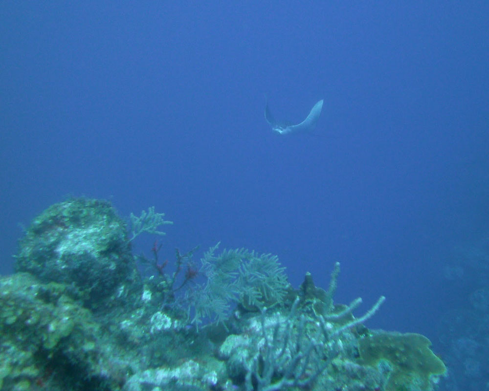 2012-Grand-Cayman-67
