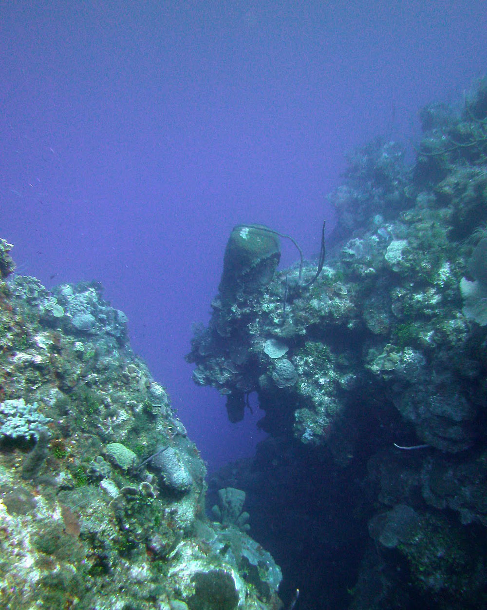 2012-Grand-Cayman-88
