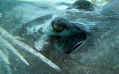 2012-Grand-Cayman-117