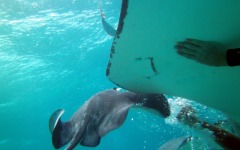2012-Grand-Cayman-126