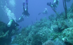 2012-Grand-Cayman-150