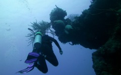 2012-Grand-Cayman-151