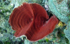 2012-Grand-Cayman-168