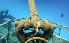 2012-Grand-Cayman-245