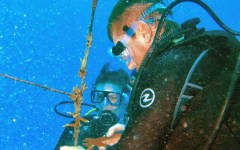 building-dive-bar-reef-001
