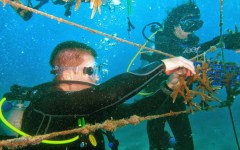 building-dive-bar-reef-004