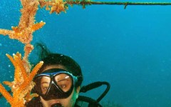 building-dive-bar-reef-007