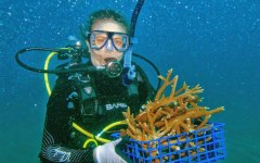 building-dive-bar-reef-009