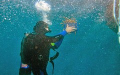 building-dive-bar-reef-010