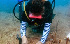 building-dive-bar-reef-015