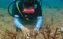building-dive-bar-reef-017
