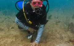 building-dive-bar-reef-018