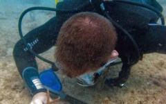 building-dive-bar-reef-019