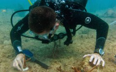 building-dive-bar-reef-020