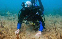 building-dive-bar-reef-021