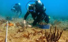 building-dive-bar-reef-023