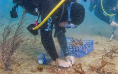 building-dive-bar-reef-024