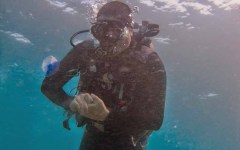 building-dive-bar-reef-026