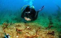 building-dive-bar-reef-040
