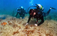 building-dive-bar-reef-056
