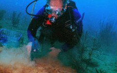 building-dive-bar-reef-070