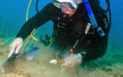 building-dive-bar-reef-071