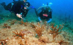 building-dive-bar-reef-078