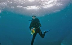 building-dive-bar-reef-102