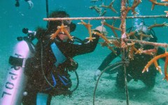 building-dive-bar-reef-105