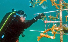 building-dive-bar-reef-111