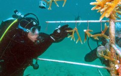 building-dive-bar-reef-112