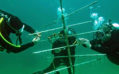 building-dive-bar-reef-119