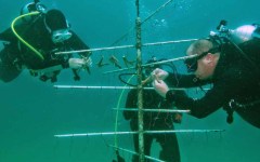 building-dive-bar-reef-120