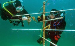 building-dive-bar-reef-121