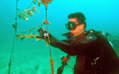 building-dive-bar-reef-128