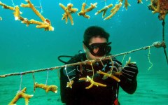 building-dive-bar-reef-129