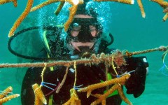 building-dive-bar-reef-135