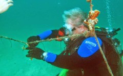 building-dive-bar-reef-137