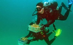 building-dive-bar-reef-142