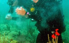 building-dive-bar-reef-150