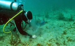 building-dive-bar-reef-152