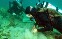 building-dive-bar-reef-153