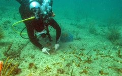 building-dive-bar-reef-154