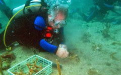 building-dive-bar-reef-158