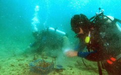 building-dive-bar-reef-160