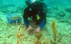 building-dive-bar-reef-166