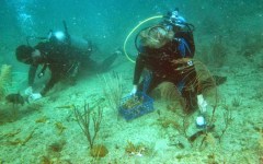 building-dive-bar-reef-168